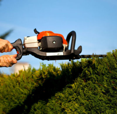 Tagliasiepe: quale tipo scegliere