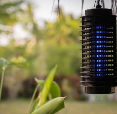 Rimedi antizanzare: quali scegliere?