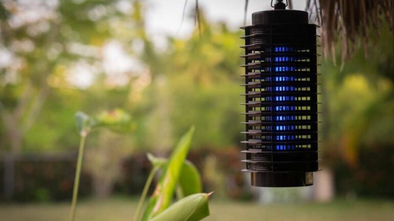 giardino con antizanzare uva rimedi antizanzare