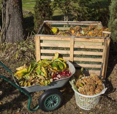 Compost domestico cosa usare e come farlo
