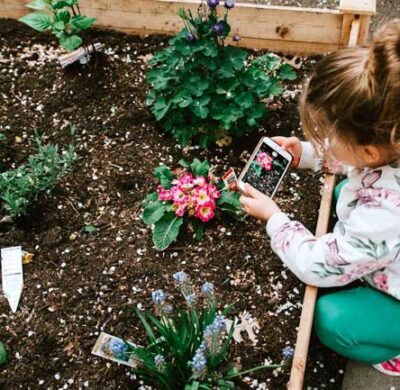 7 consigli pratici per la manutenzione prato primavera