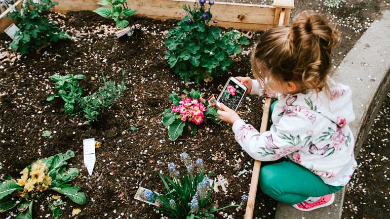 Manutenzione prato primavera: 7 consigli