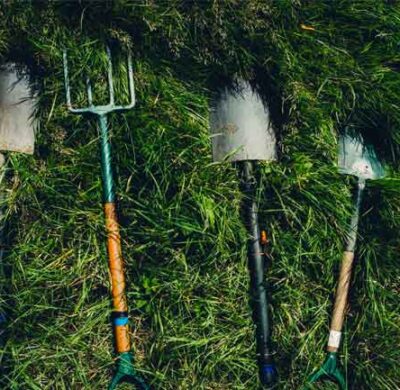 Come e quando seminare il prato: la guida completa