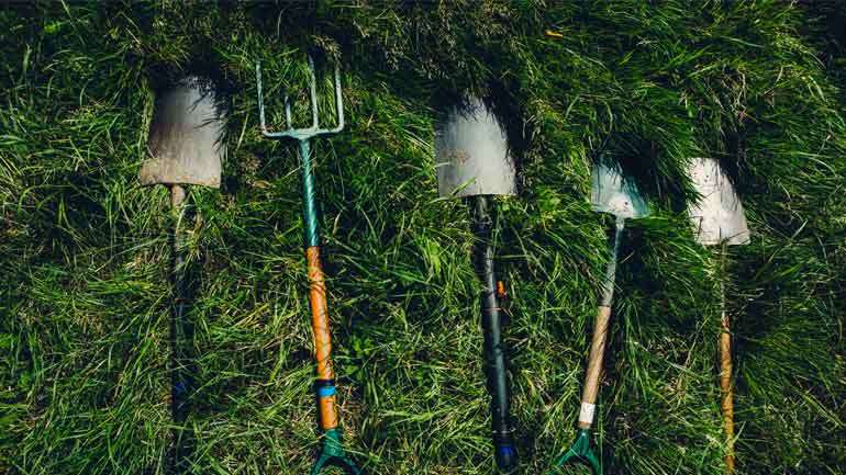 Quando seminare il prato