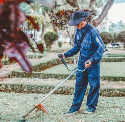 Guida alla sostituzione filo decespugliatore