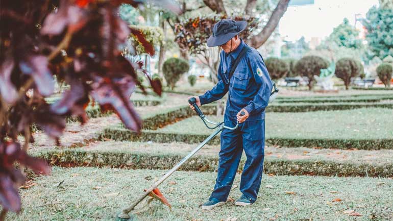 Guida alla sostituzione filo decespugliatore